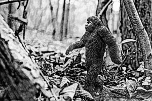 Ohio Woman Swears She Recorded Bigfoot.